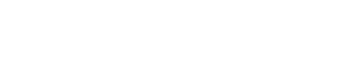 SF | Prime Design Logo white